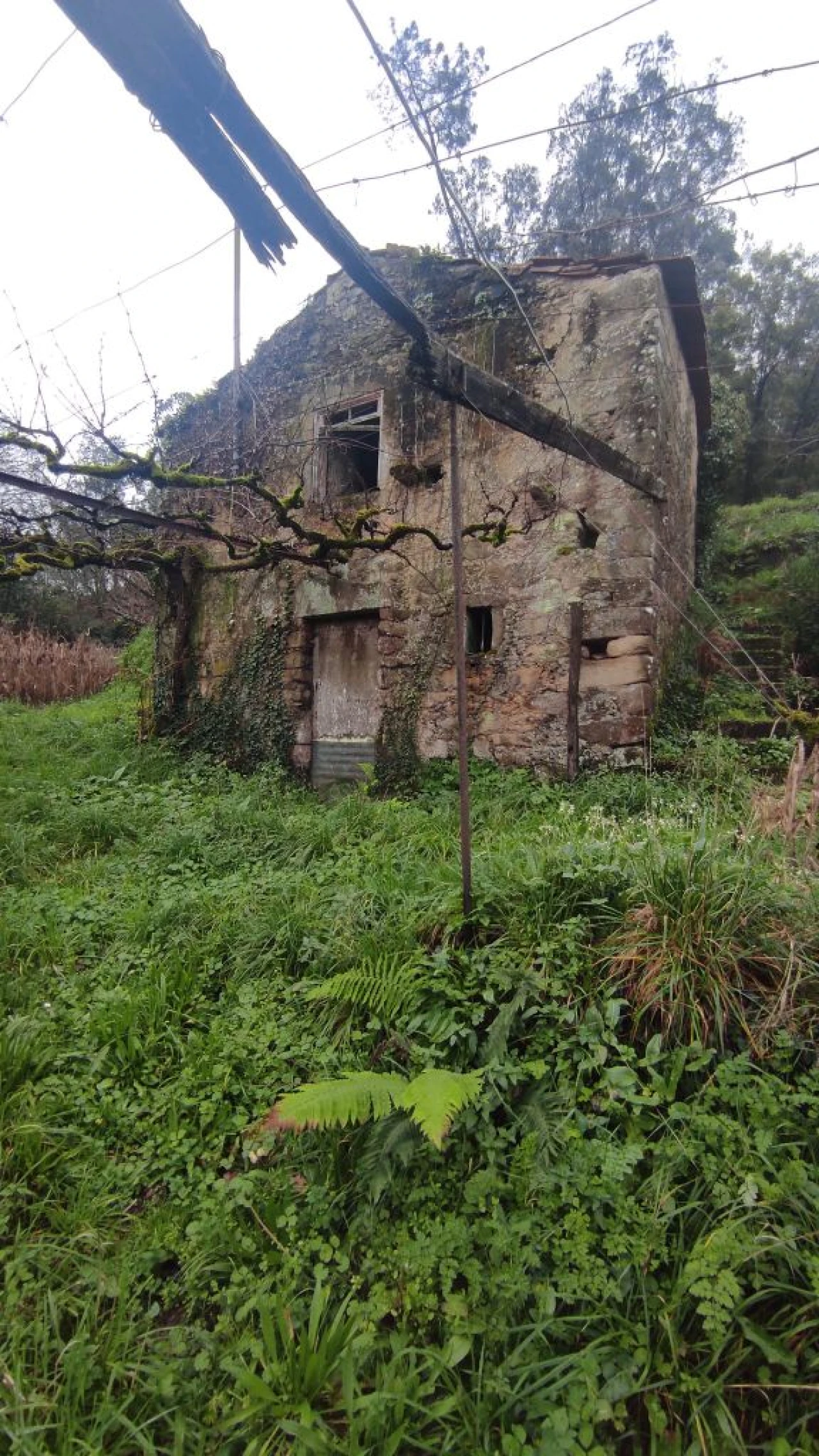 Moradia T1 para Venda em Barreta Foto 2