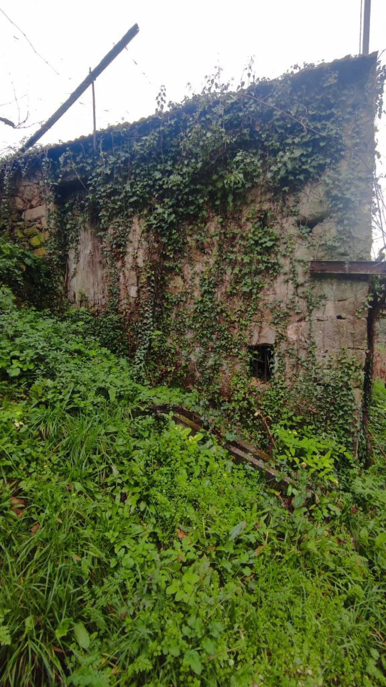 Moradia T1 para Venda em Barreta Foto 3