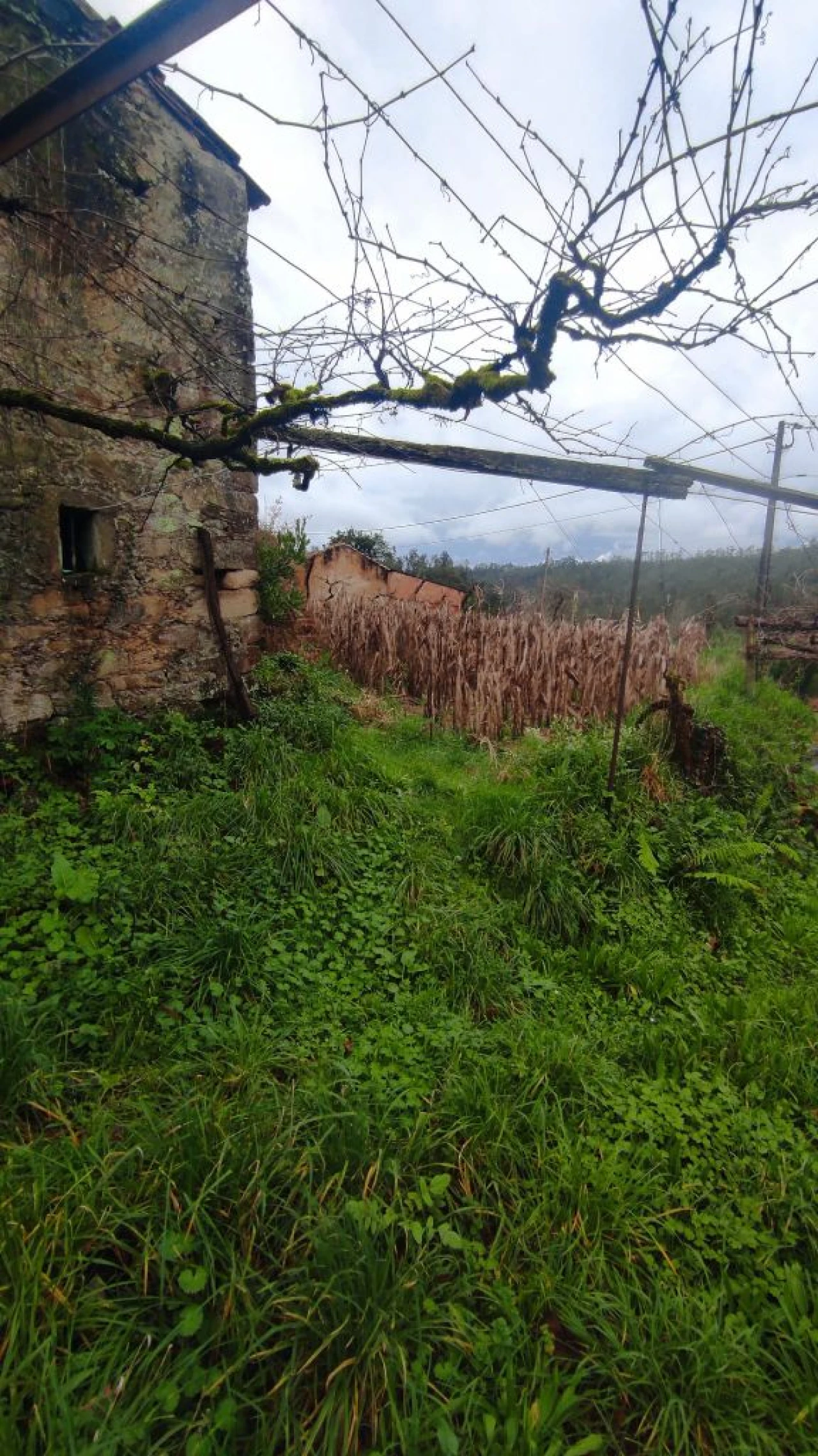 Moradia T1 para Venda em Barreta Foto 6