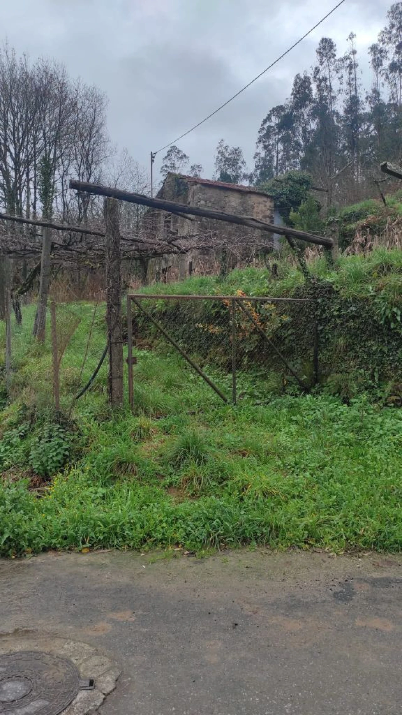 Moradia T1 para Venda em Barreta Foto 9