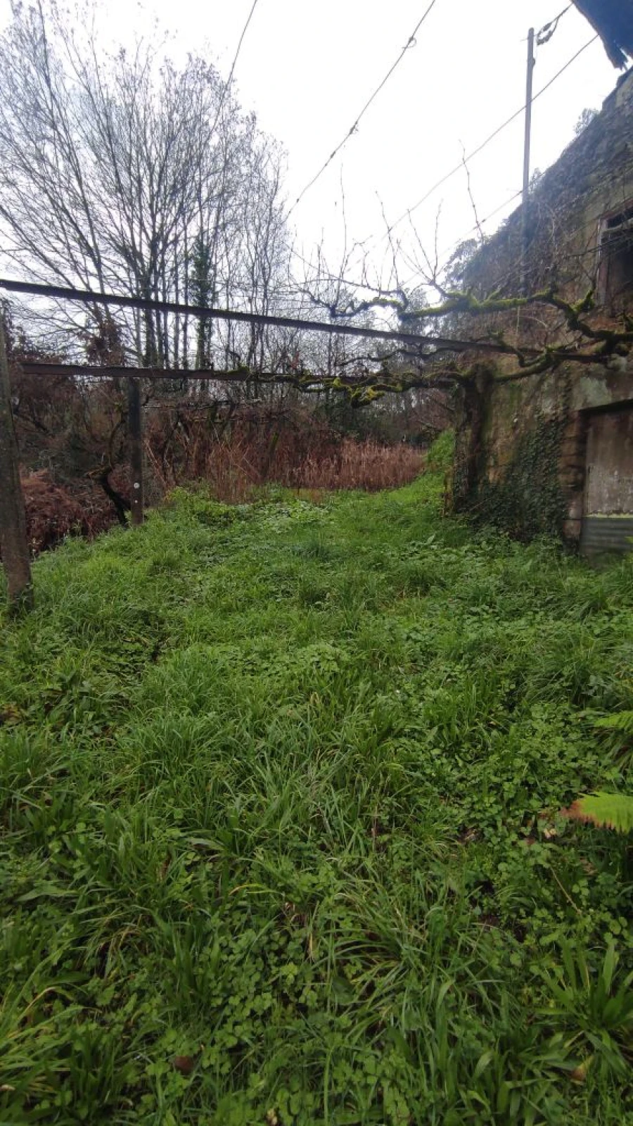 Moradia T1 para Venda em Barreta Foto 7