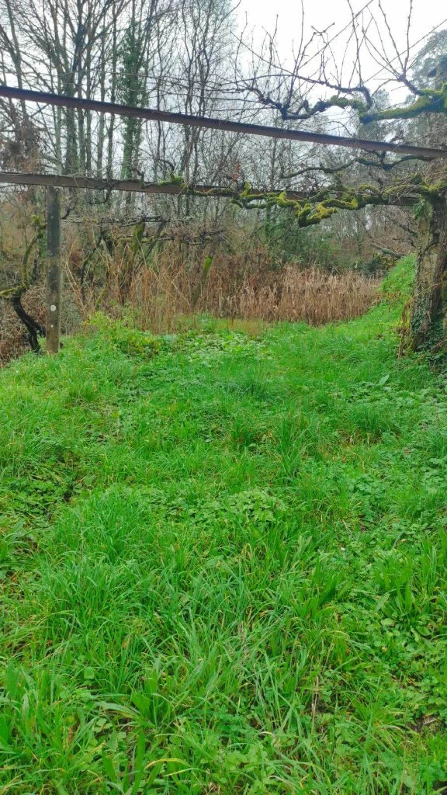 Moradia T1 para Venda em Barreta Foto 8