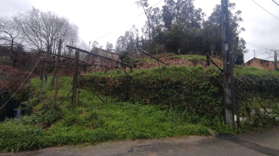 Moradia T1 para Venda em Barreta Foto 5