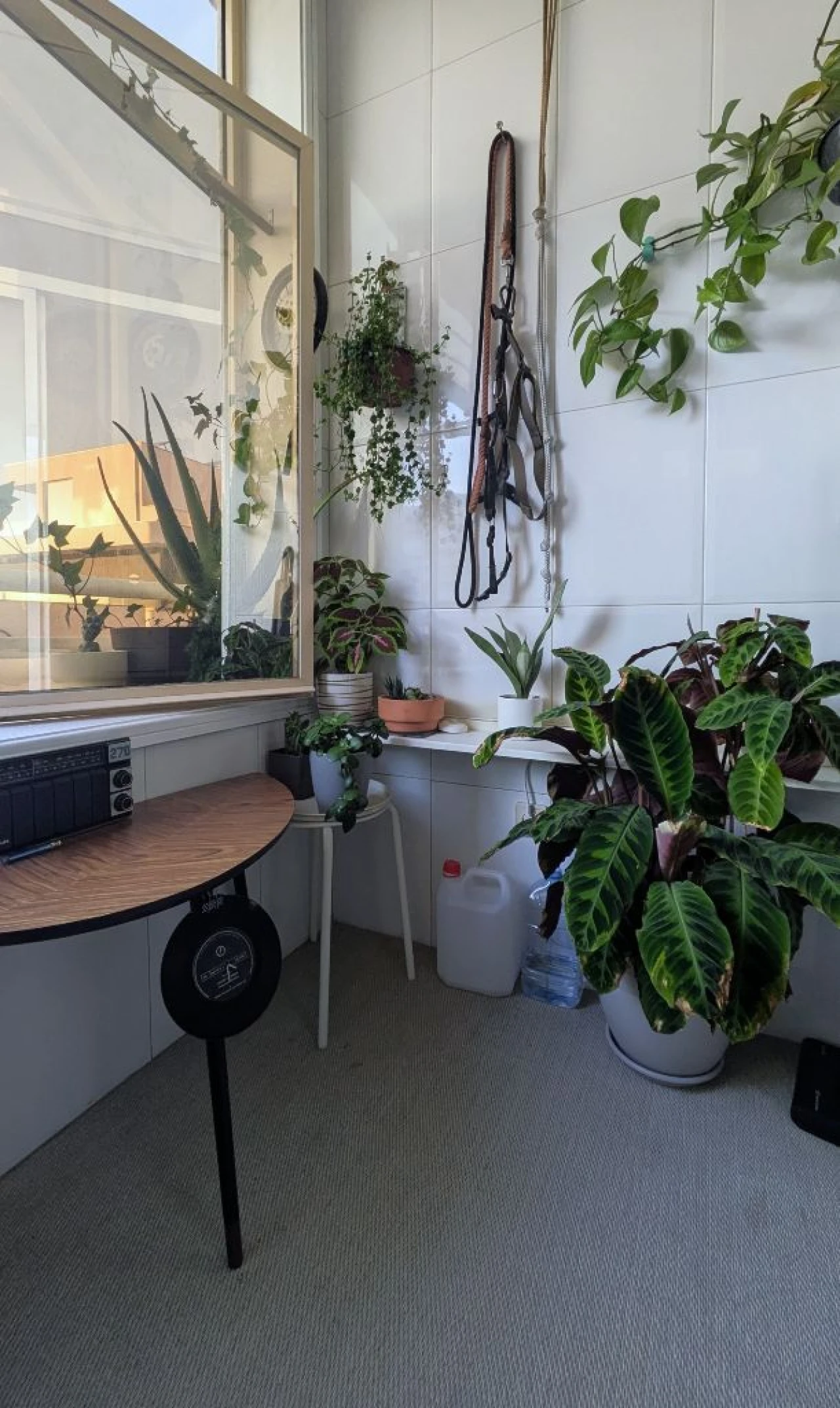 Apartamento T2 para Venda em Vila Nova de Gaia Foto 23