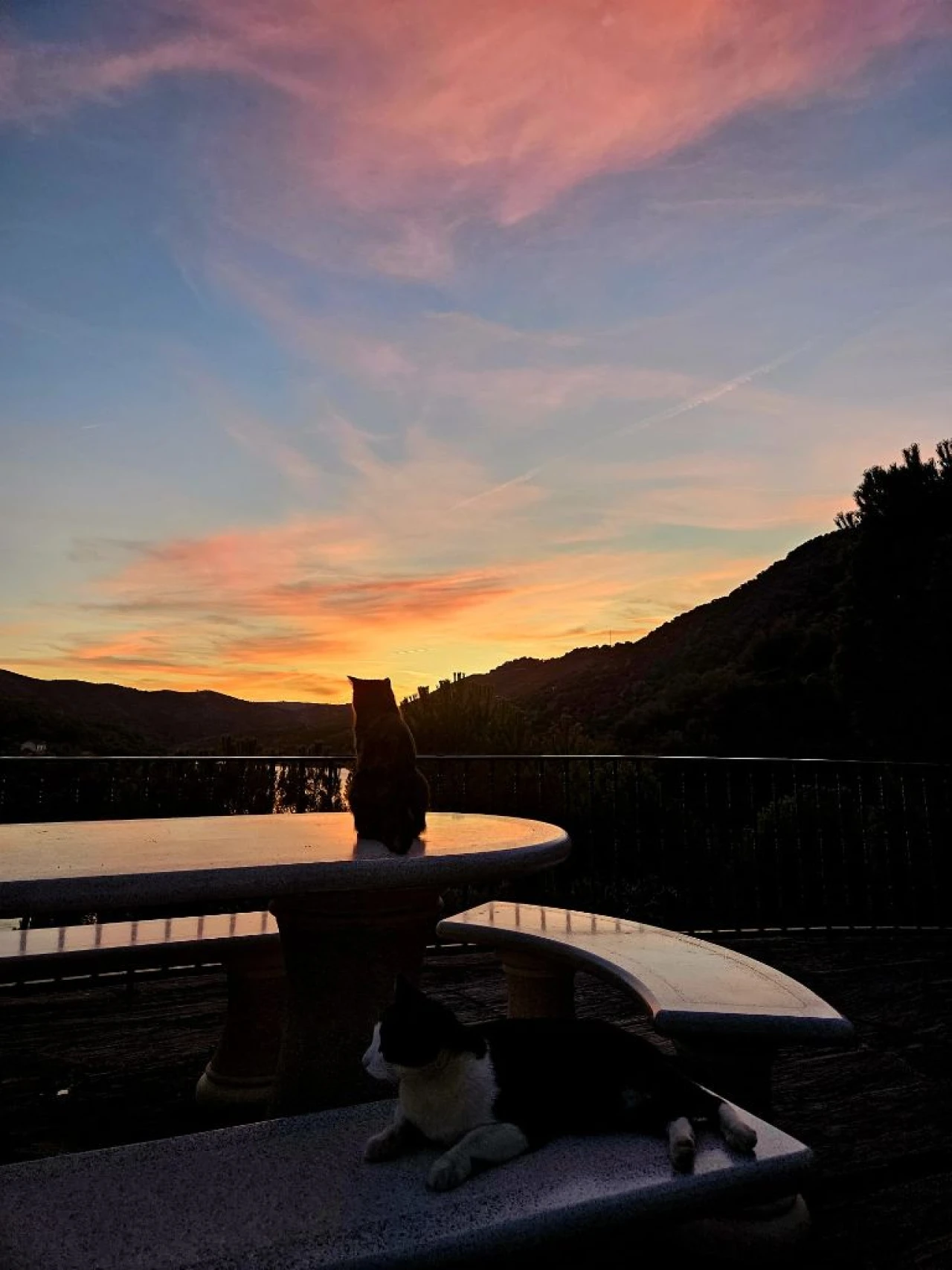 Quinta T4 para Venda em Freixo De Espada A Cinta Foto 13