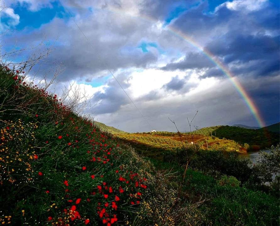 Quinta T4 para Venda em Freixo De Espada A Cinta Foto 21