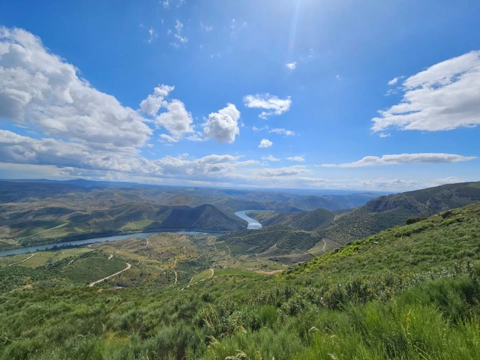 Quinta T4 para Venda em Freixo De Espada A Cinta Foto 22