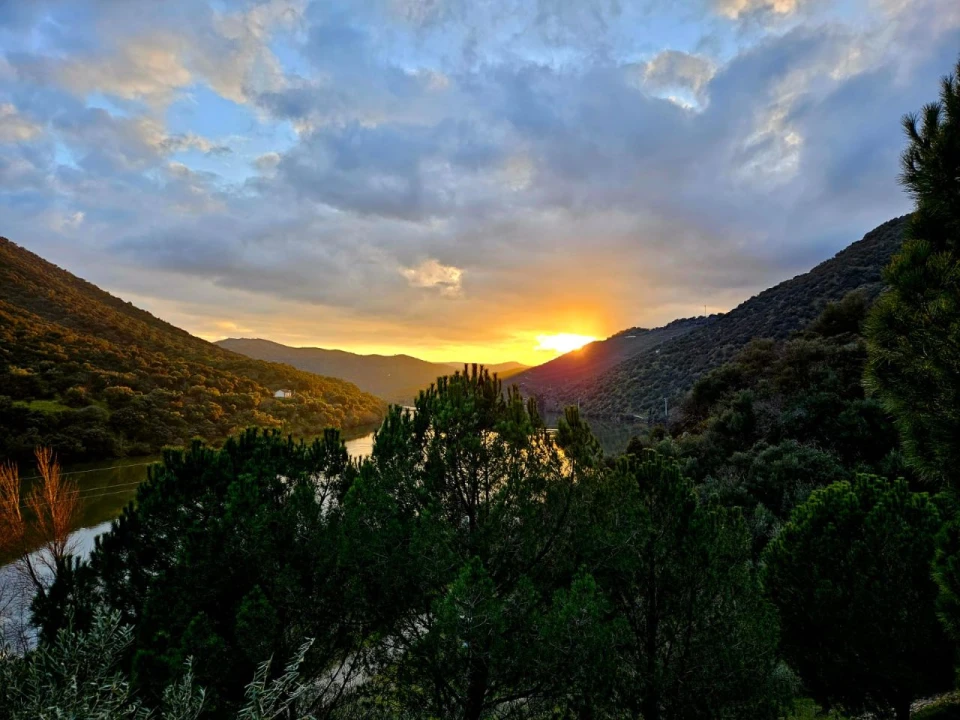 Quinta T4 para Venda em Freixo De Espada A Cinta Foto 23