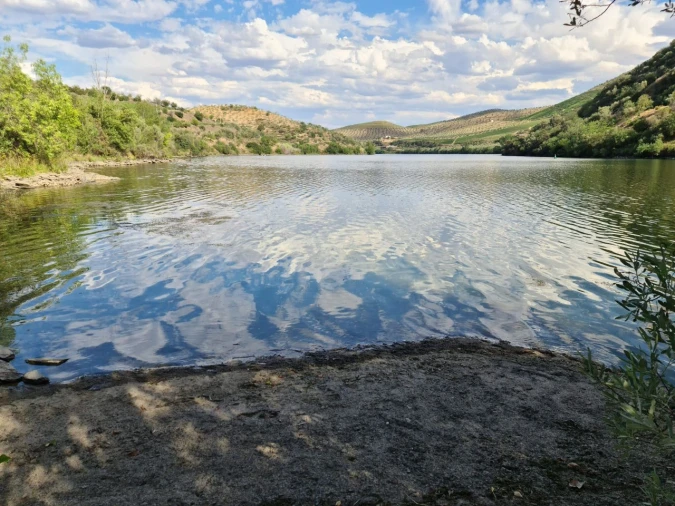 Quinta T4 para Venda em Freixo De Espada A Cinta Foto 4