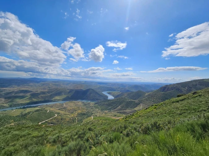 Quinta T4 para Venda em Freixo De Espada A Cinta Foto 22