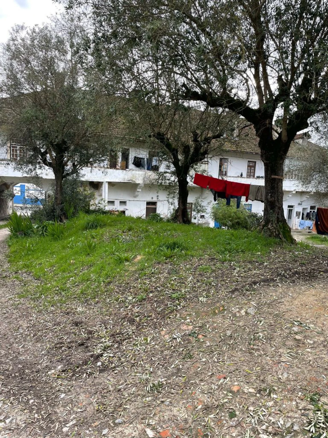 Apartamento para Venda em Cartaxo Foto 10