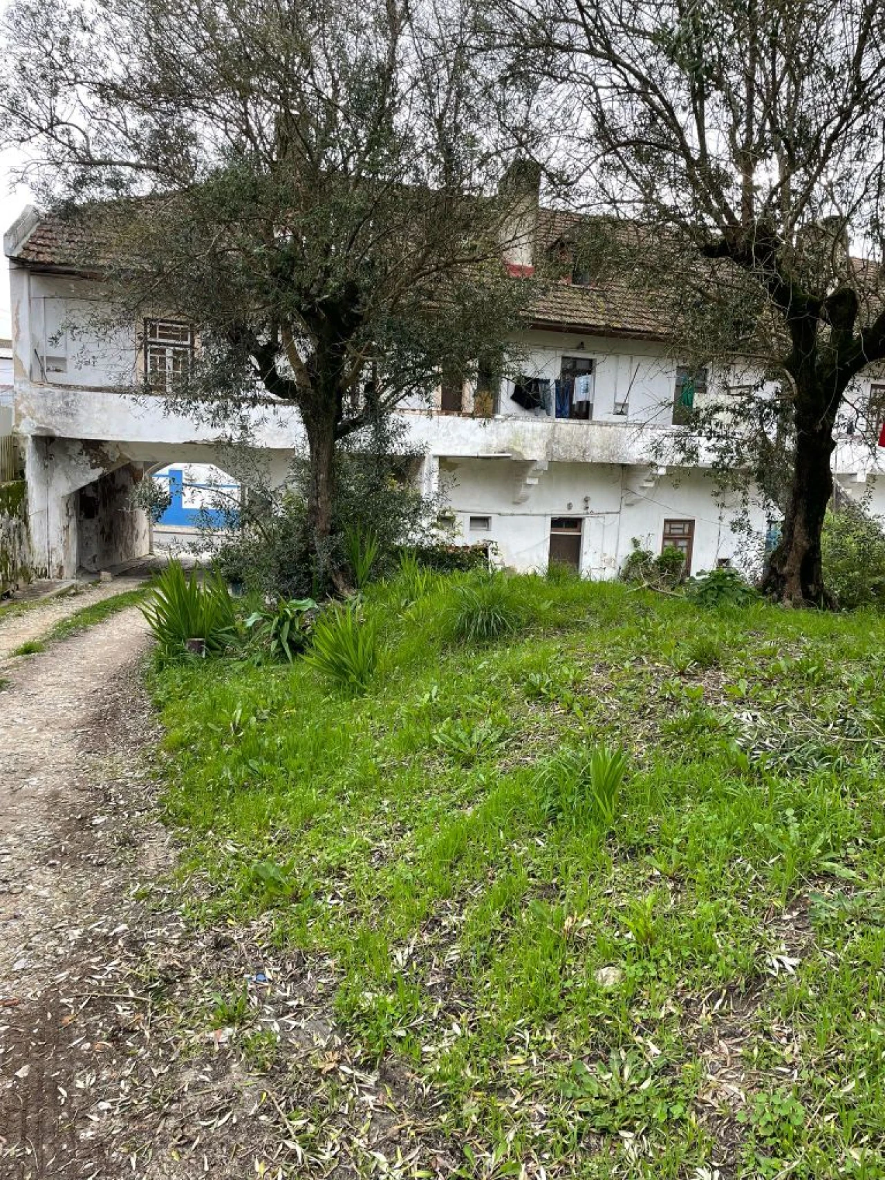 Apartamento para Venda em Cartaxo Foto 12