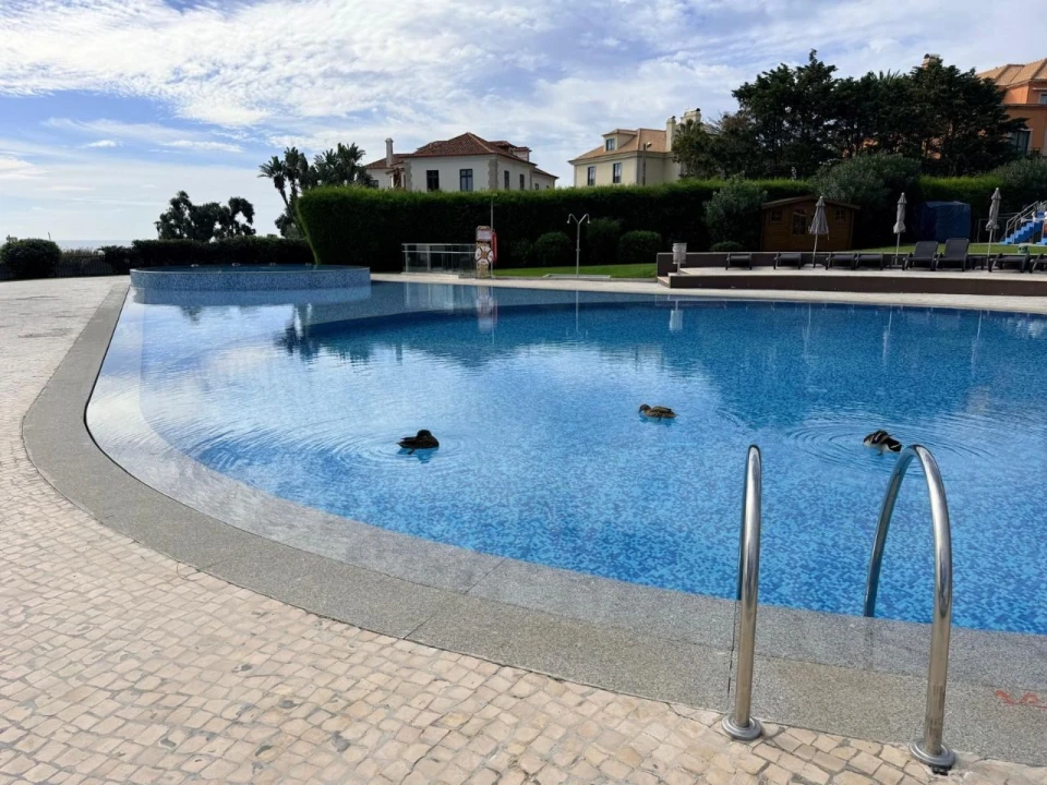 Apartamento T1 para Arrendamento em Cascais Foto 7