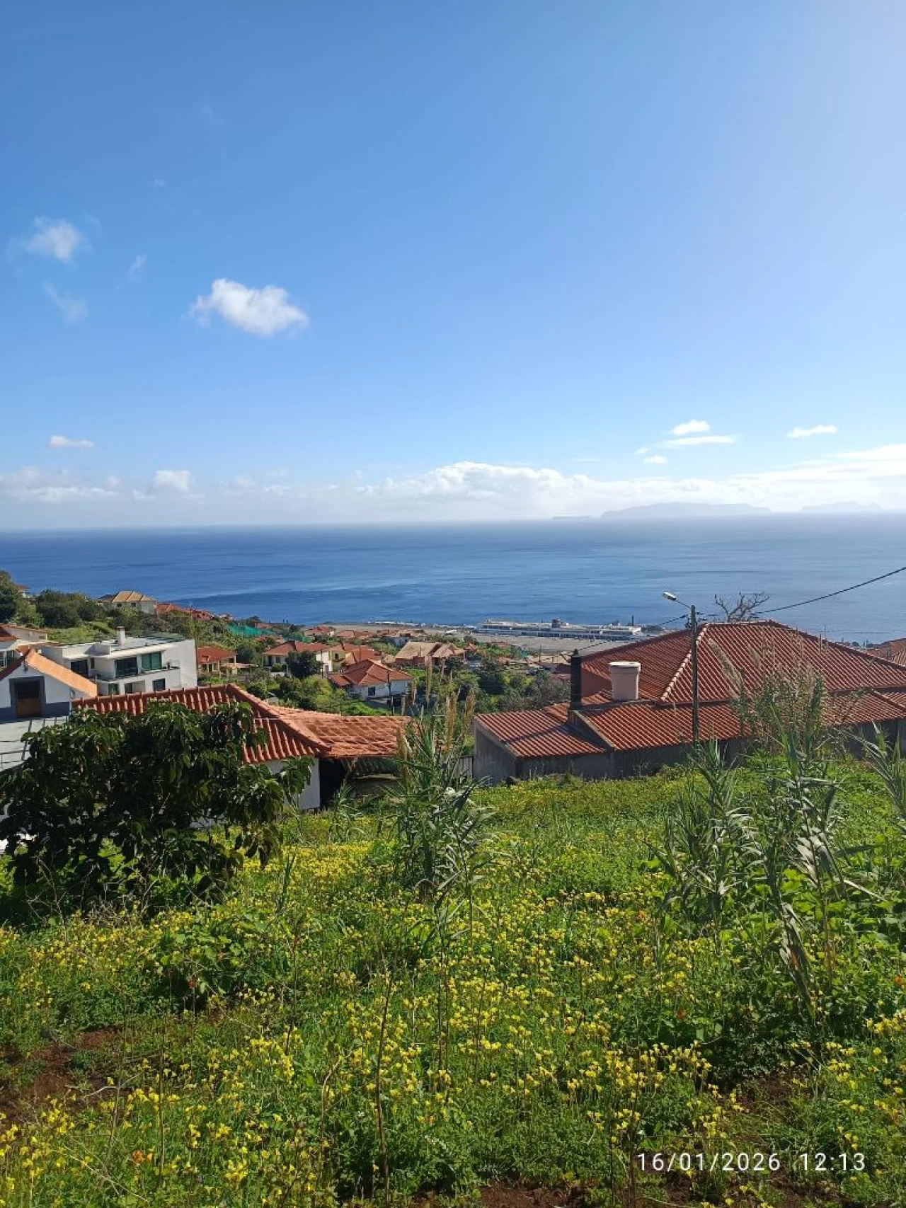 Terreno P/ Prédio para Venda em Santa Cruz Foto 7