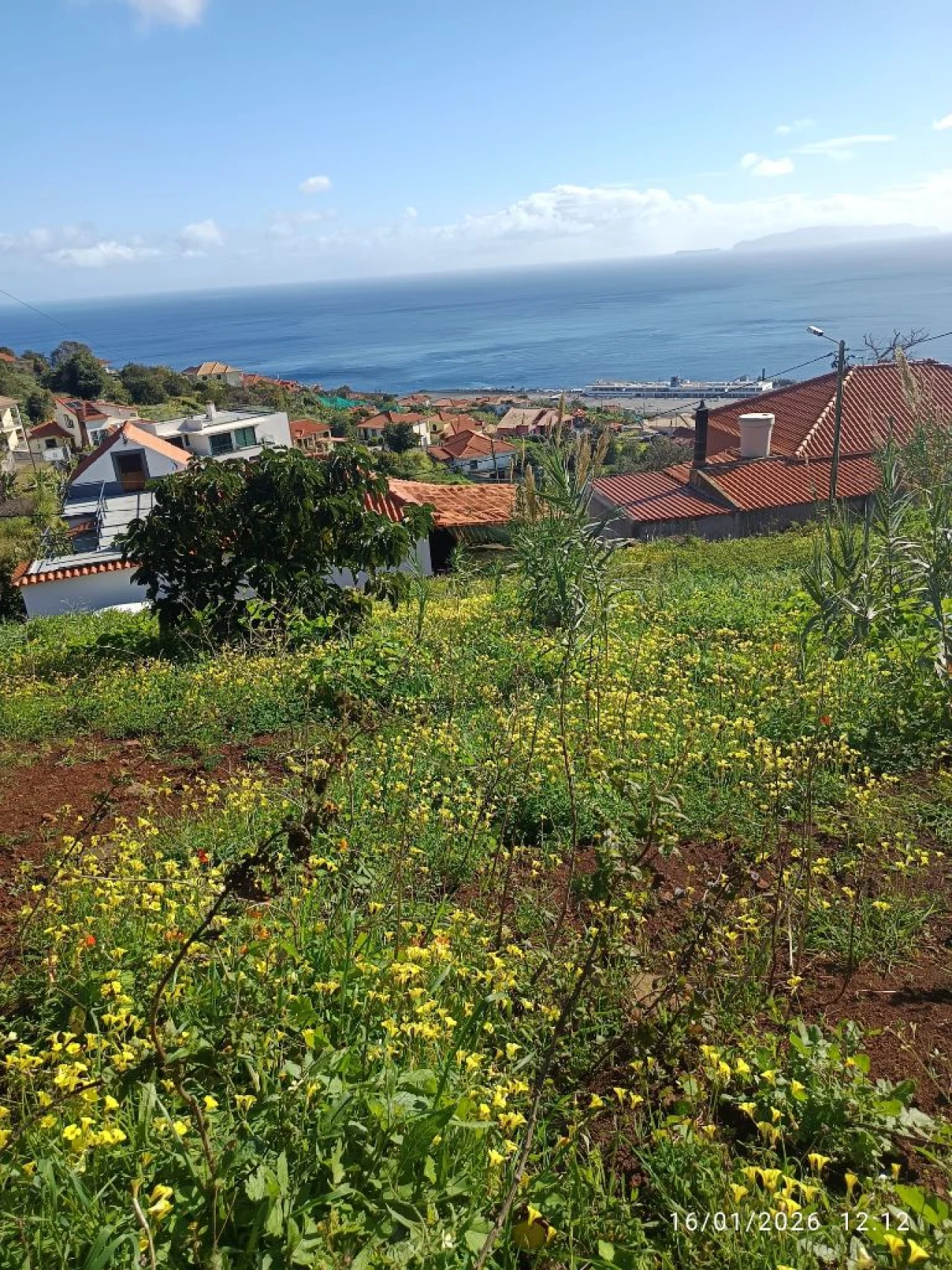 Terreno P/ Prédio para Venda em Santa Cruz Foto 11