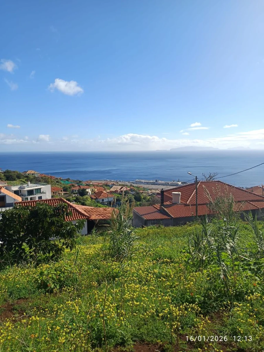 Terreno P/ Prédio para Venda em Santa Cruz Foto 4