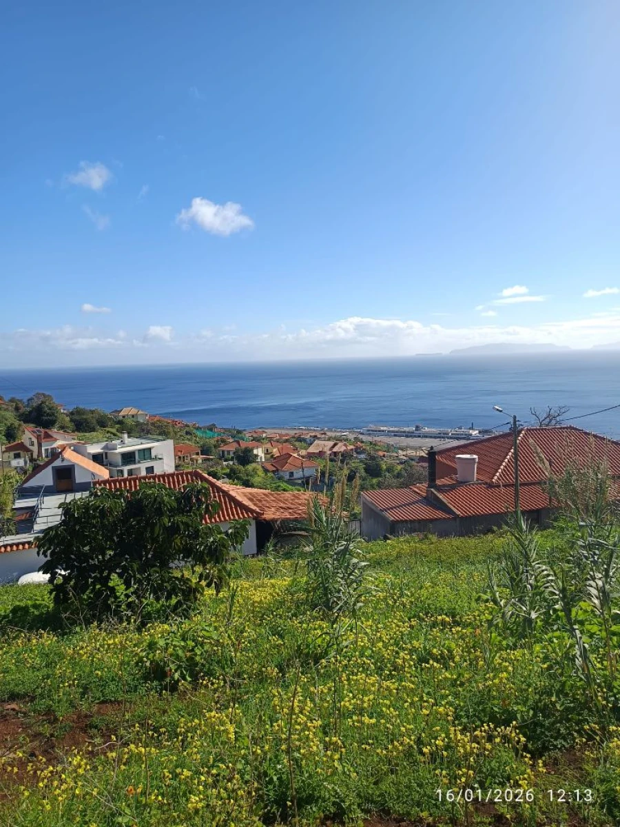 Terreno P/ Prédio para Venda em Santa Cruz Foto 10