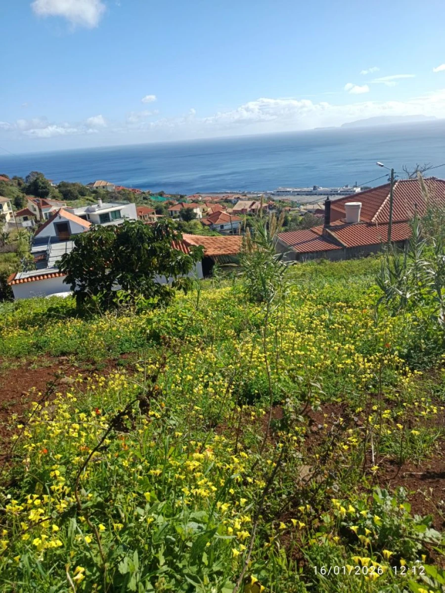 Terreno P/ Prédio para Venda em Santa Cruz Foto 12