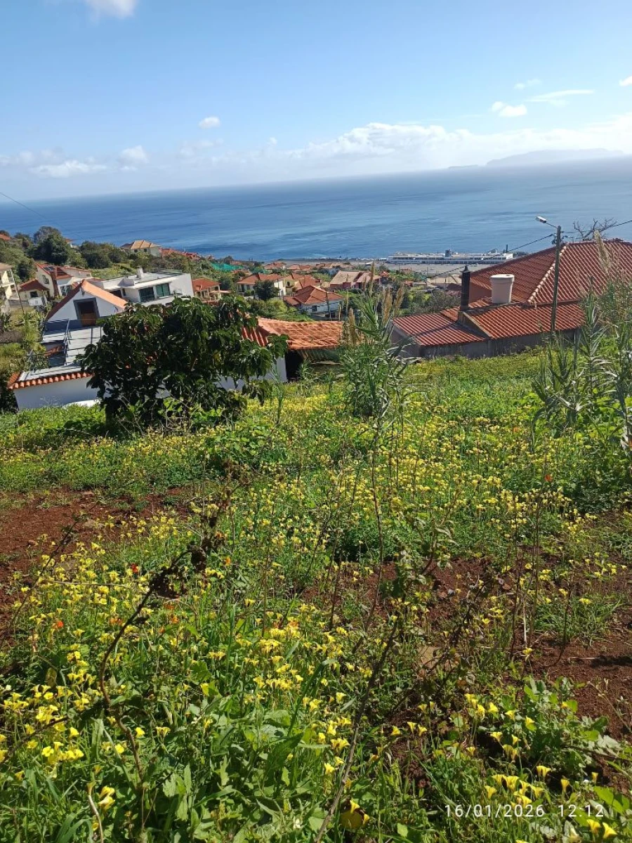Terreno P/ Prédio para Venda em Santa Cruz Foto 13