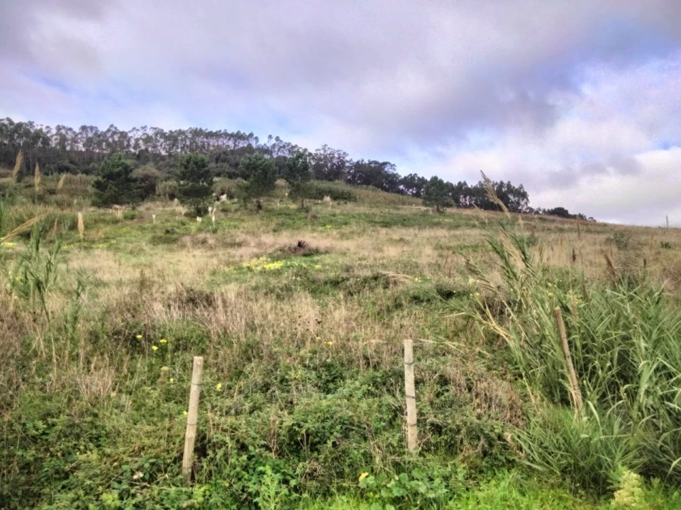Terreno para Venda em Freiria Foto 10