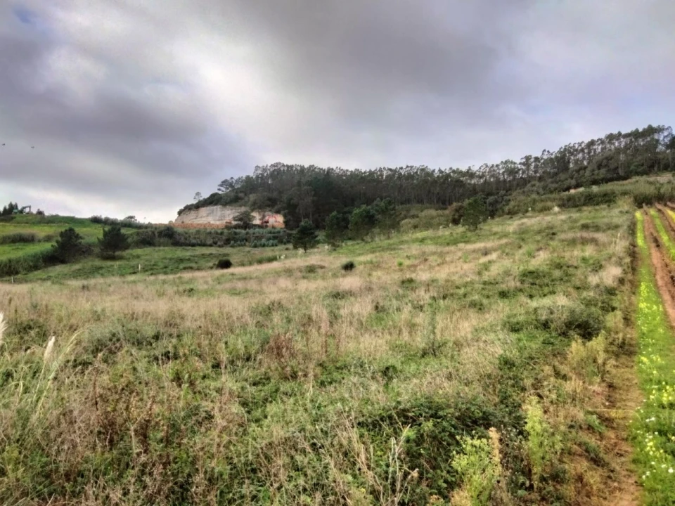 Terreno para Venda em Freiria Foto 11