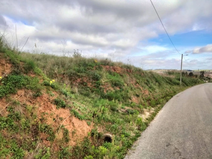 Terreno para Venda em Freiria