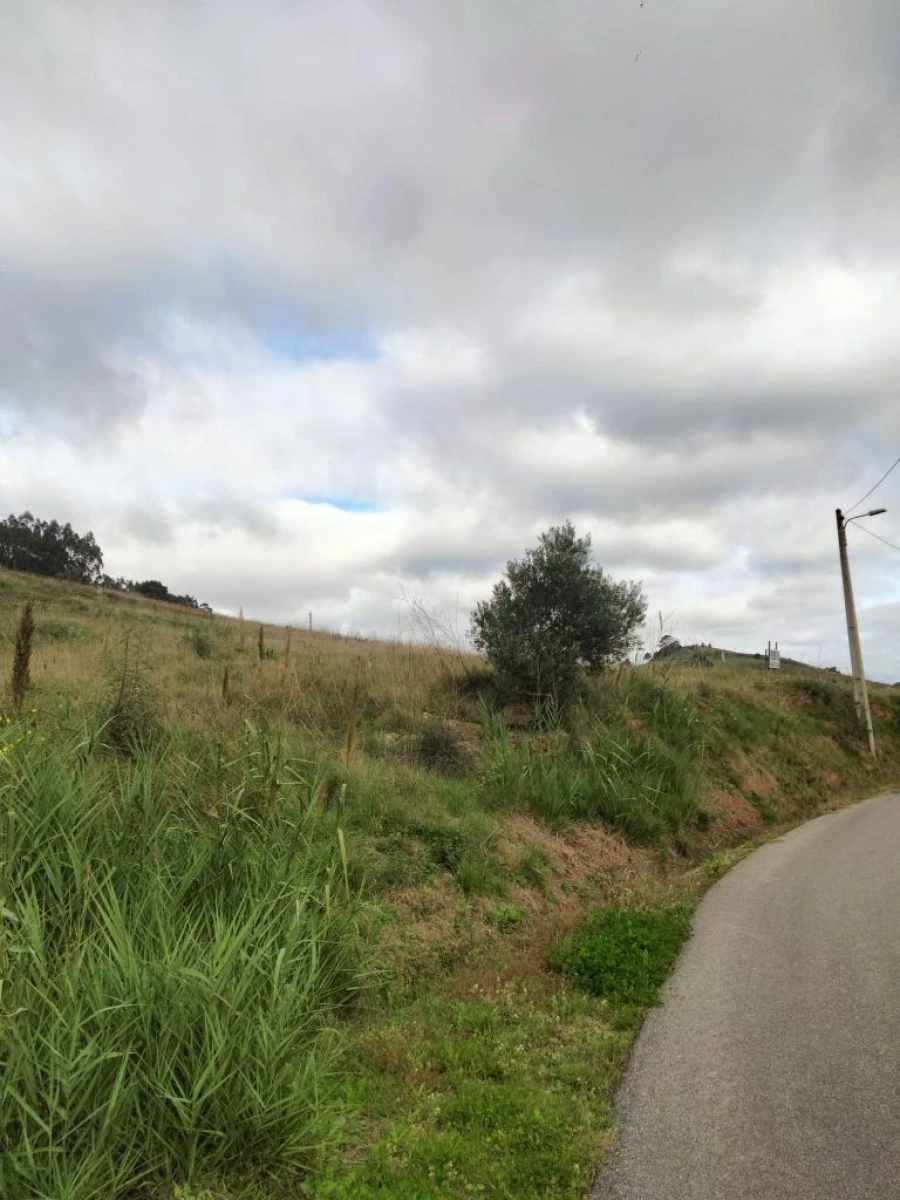 Terreno para Venda em Freiria Foto 2