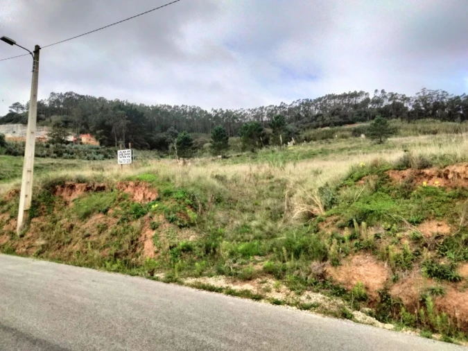 Terreno para Venda em Freiria Foto 6