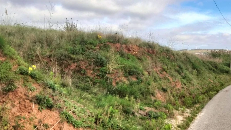 Terreno para Venda em Freiria