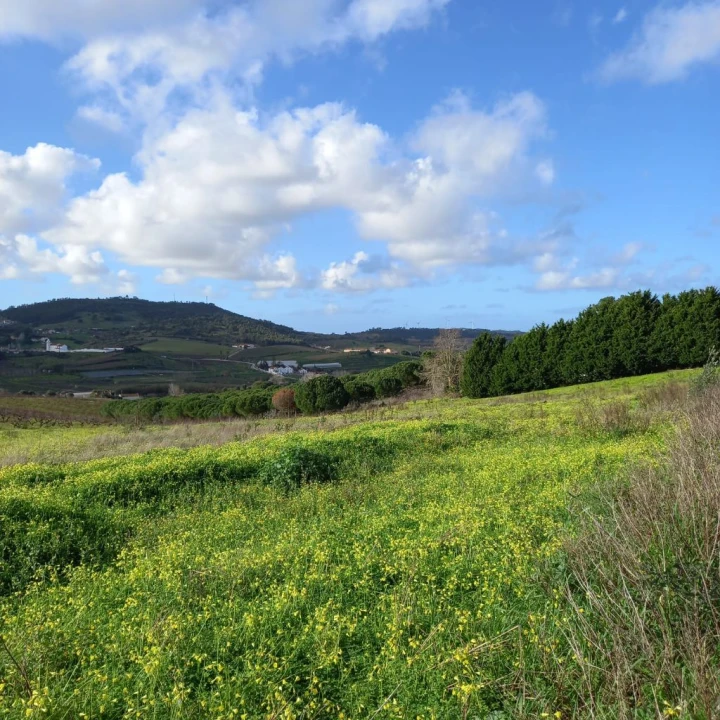 Terreno para Venda em Azueira Foto 3