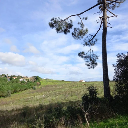 Terreno para Venda em Azueira Foto 4