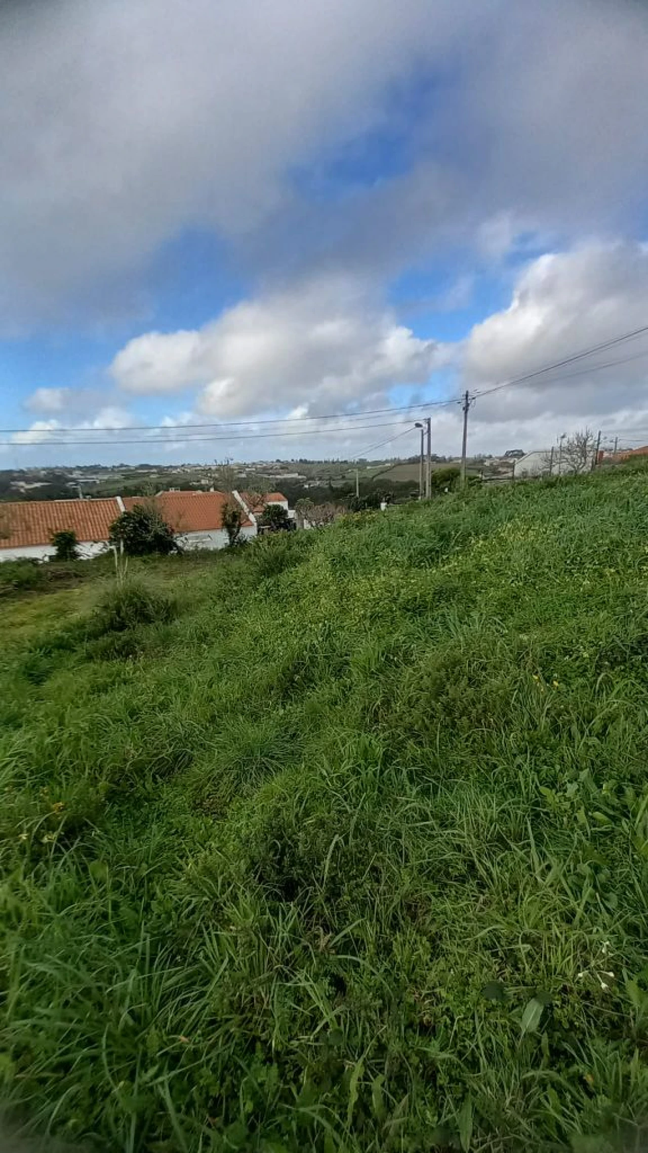 Terreno P/ Prédio para Venda em Mafra Foto 8