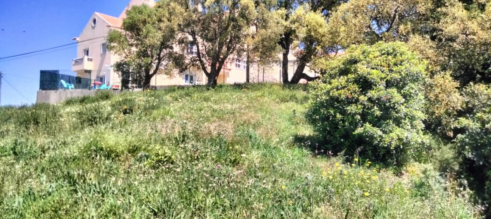 Terreno P/ Prédio para Venda em Mafra Foto 16