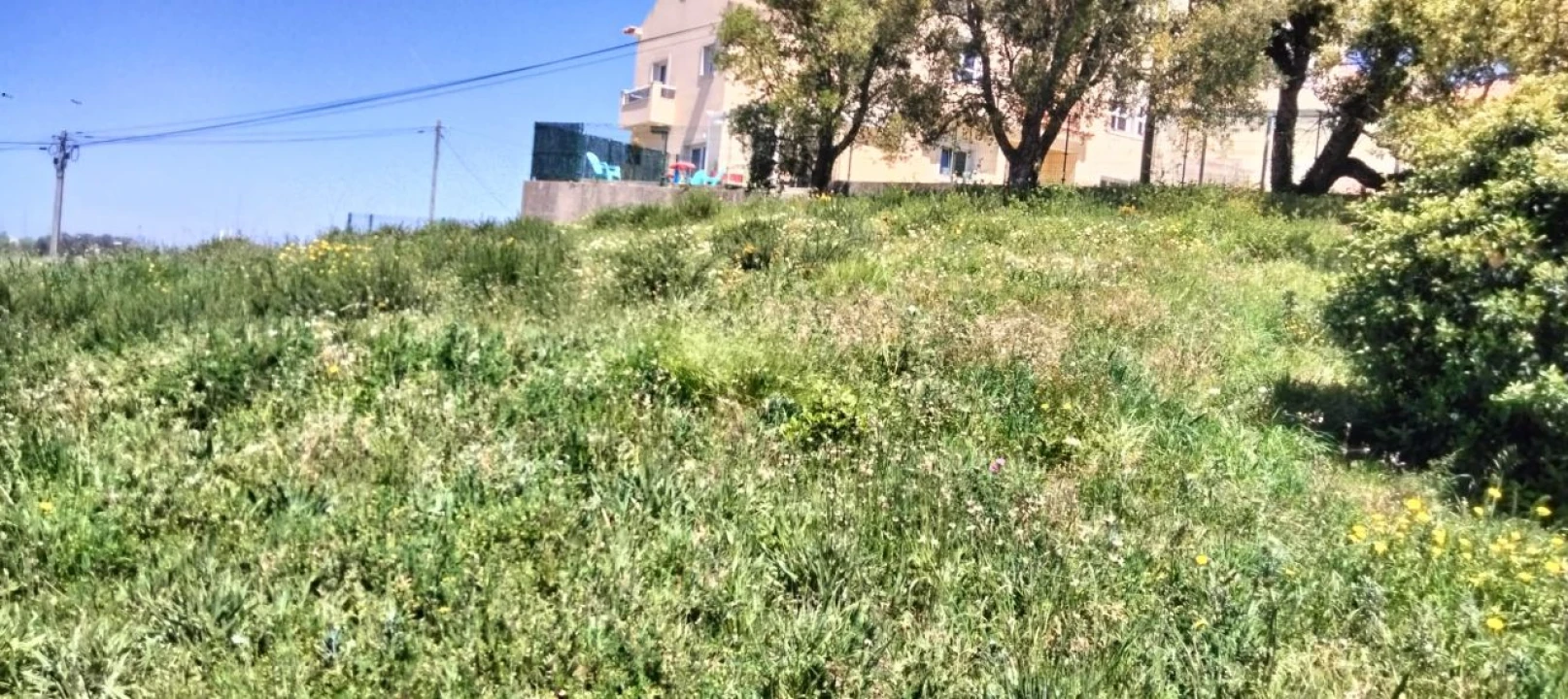 Terreno P/ Prédio para Venda em Mafra Foto 17