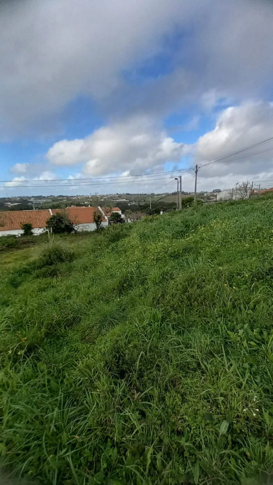 Terreno P/ Prédio para Venda em Mafra Foto 8
