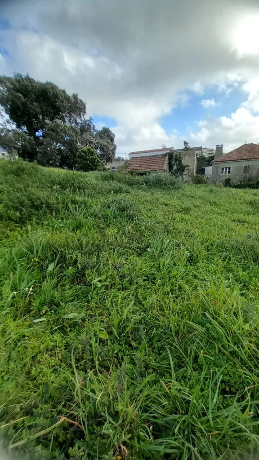 Terreno P/ Prédio para Venda em Mafra Foto 10