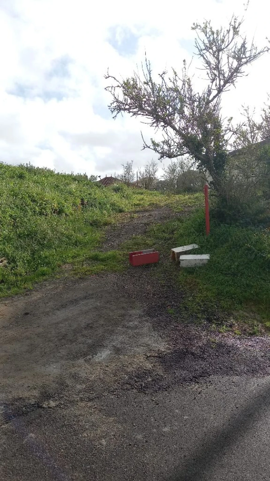Terreno P/ Prédio para Venda em Mafra Foto 11
