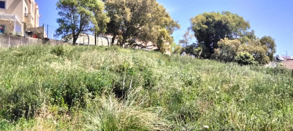 Terreno P/ Prédio para Venda em Mafra Foto 15