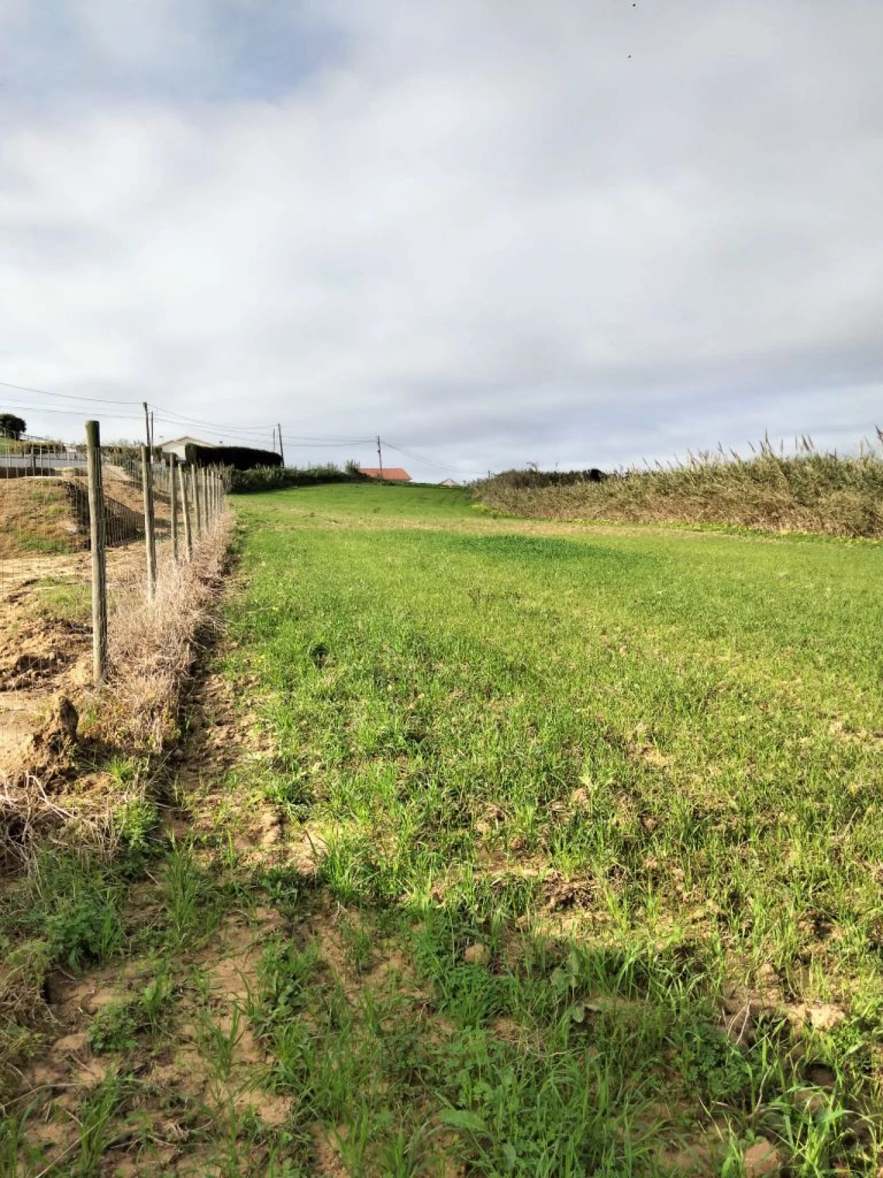 Terreno para Venda em Encarnação Foto 7
