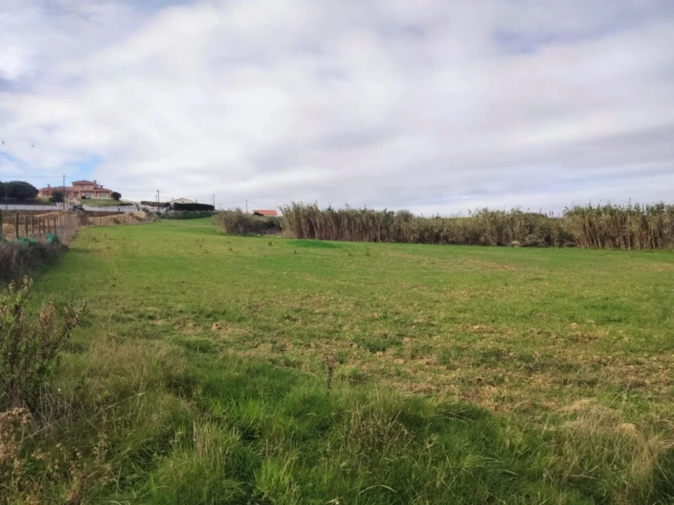 Terreno para Venda em Encarnação Foto 3