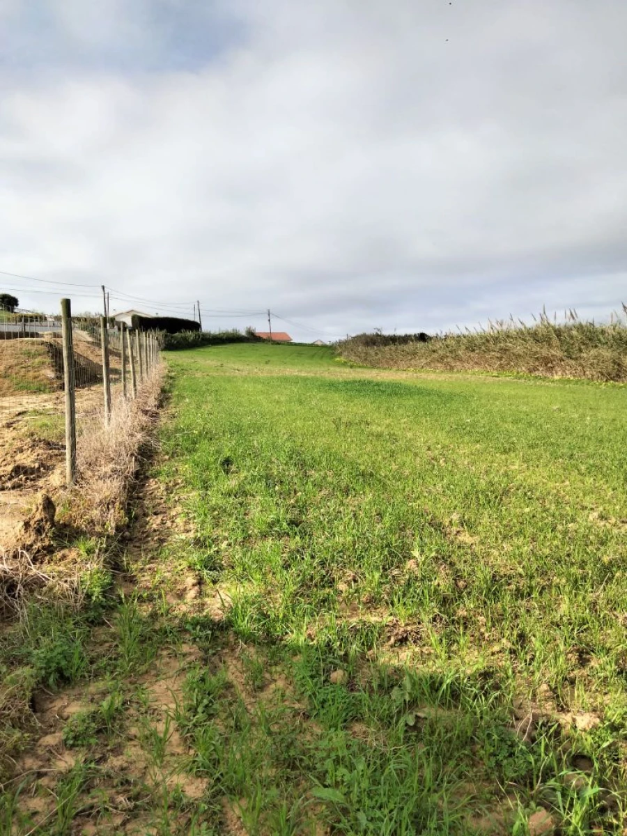 Terreno para Venda em Encarnação Foto 7