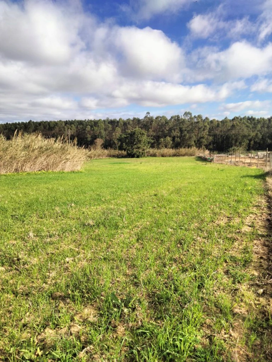 Terreno para Venda em Encarnação Foto 8