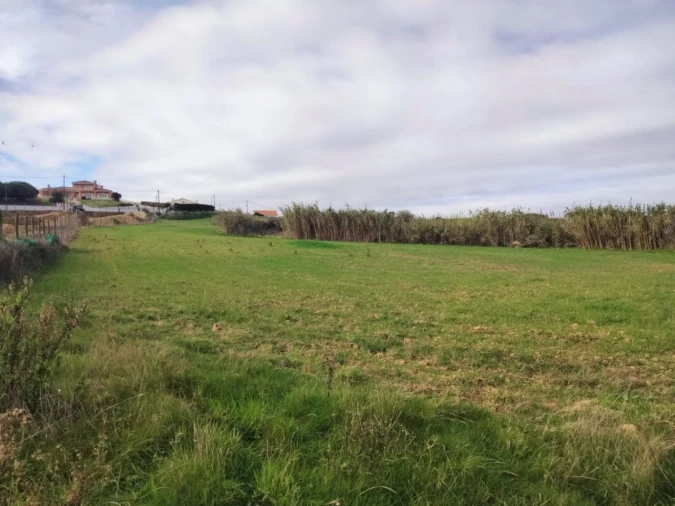 Terreno para Venda em Encarnação Foto 3