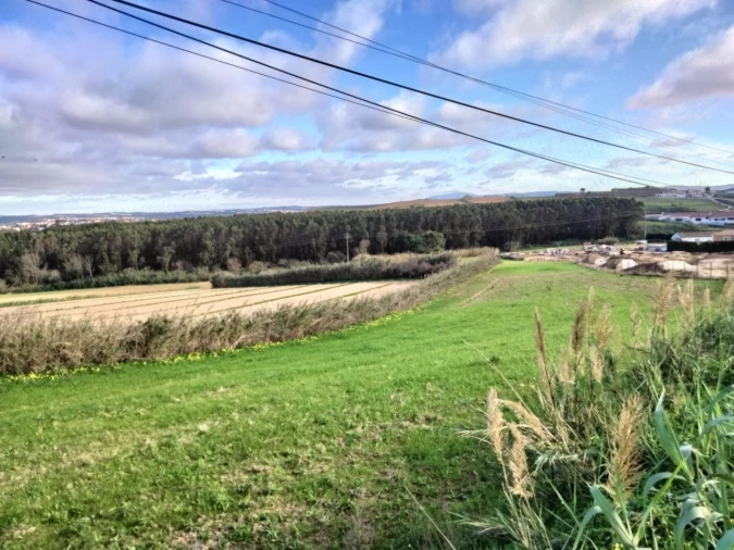 Terreno para Venda em Encarnação Foto 9