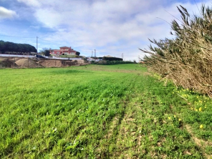 Terreno para Venda em Encarnação Foto 11