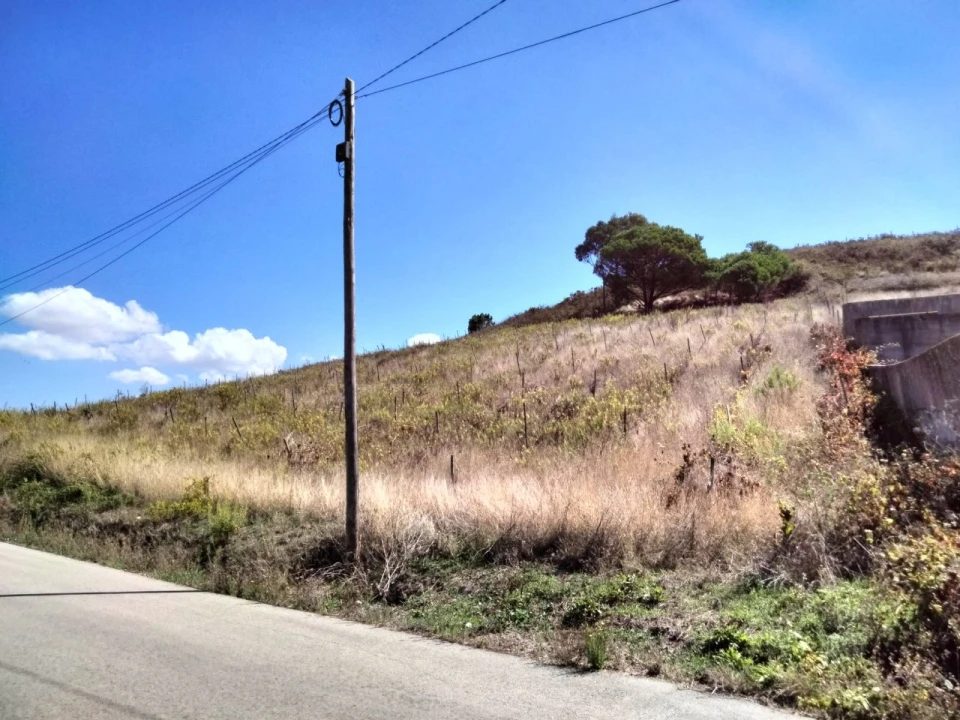 Terreno para Venda em Freiria Foto 4