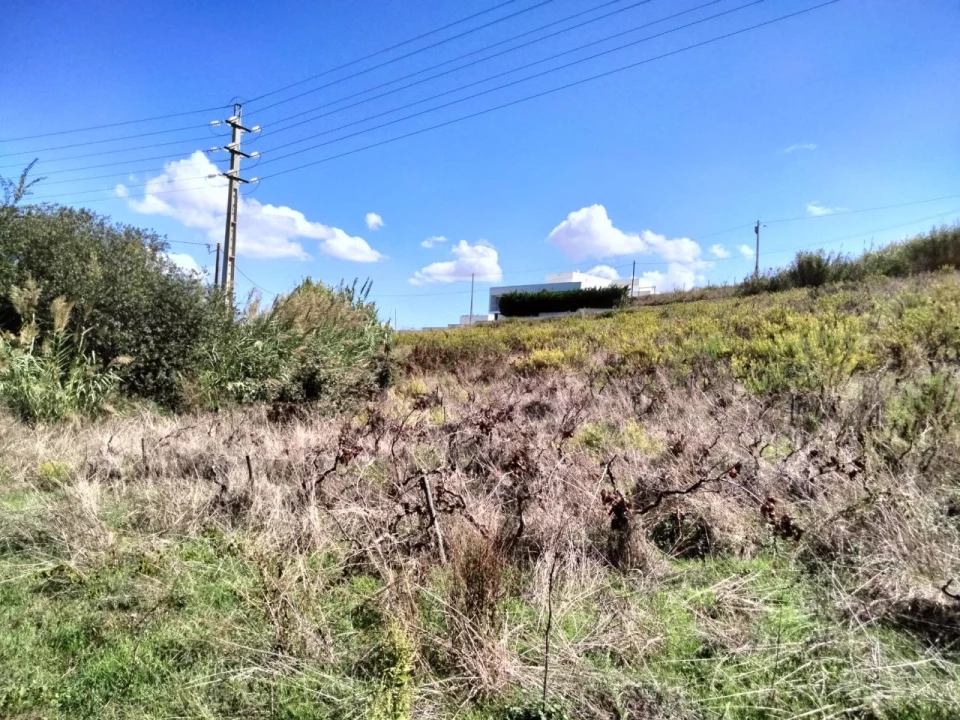 Terreno para Venda em Freiria Foto 7