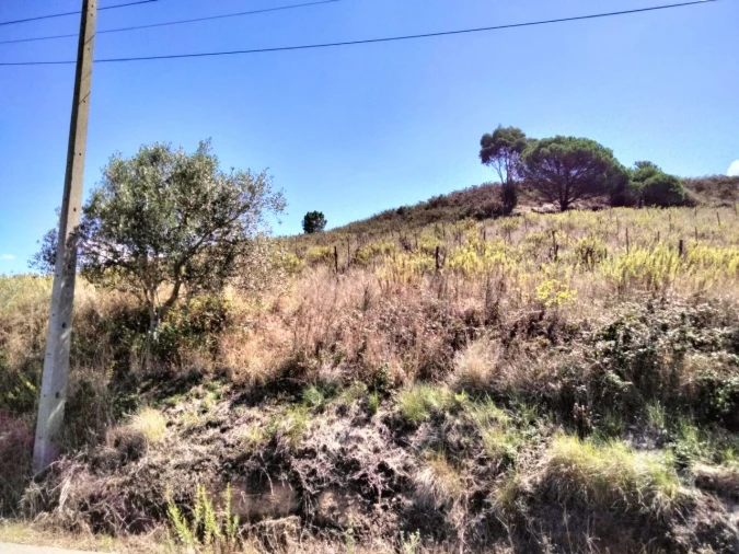 Terreno para Venda em Freiria Foto 2