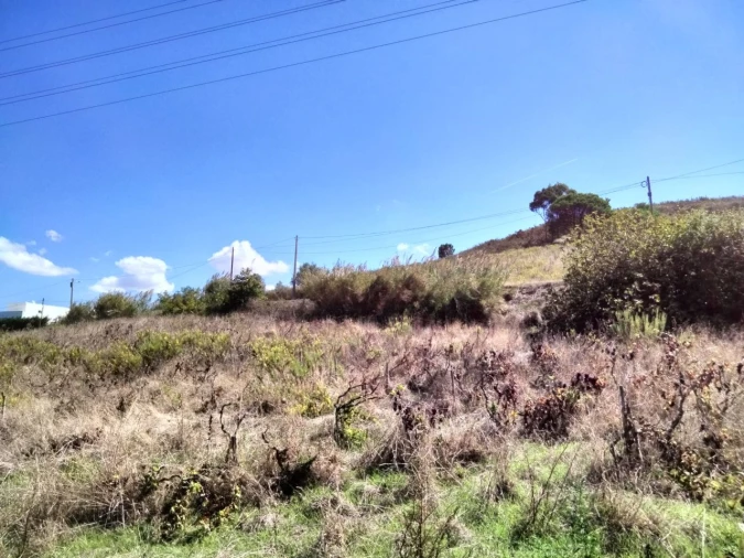 Terreno para Venda em Freiria Foto 3