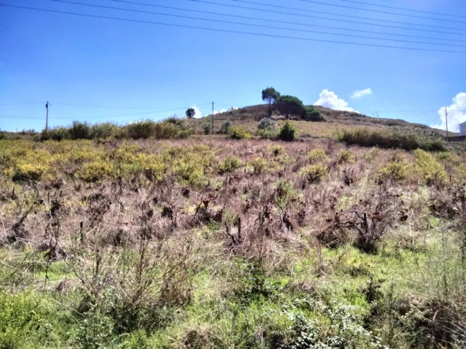 Terreno para Venda em Freiria Foto 6